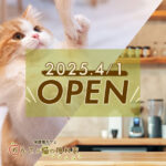 2025年4月1日保護猫カフェりんごと猫の隠れ家オープン